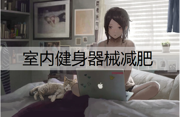 室内健身器械减肥