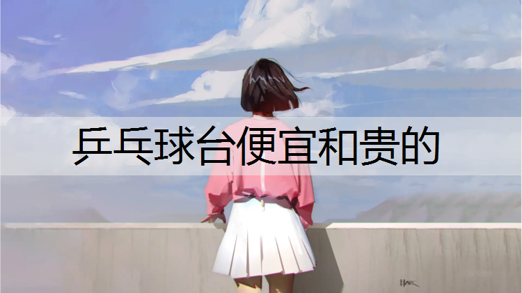 <strong>乒乓球台便宜和贵的</strong>