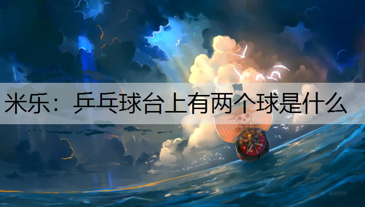 米乐：乒乓球台上有两个球是什么