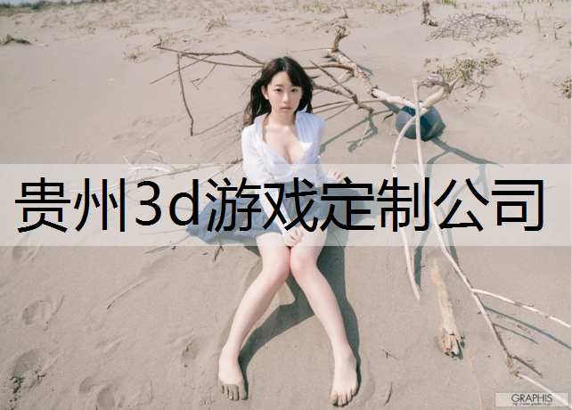 <strong>贵州3d游戏定制公司</strong>