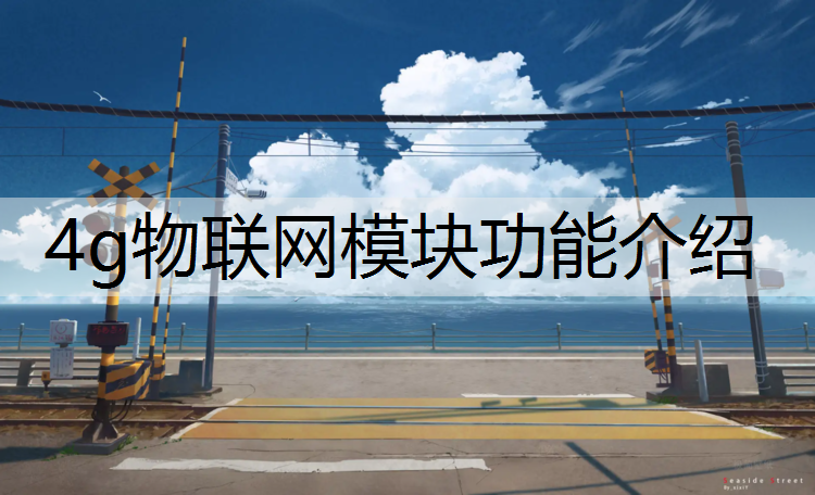 <strong>4g物联网模块功能介绍</strong>