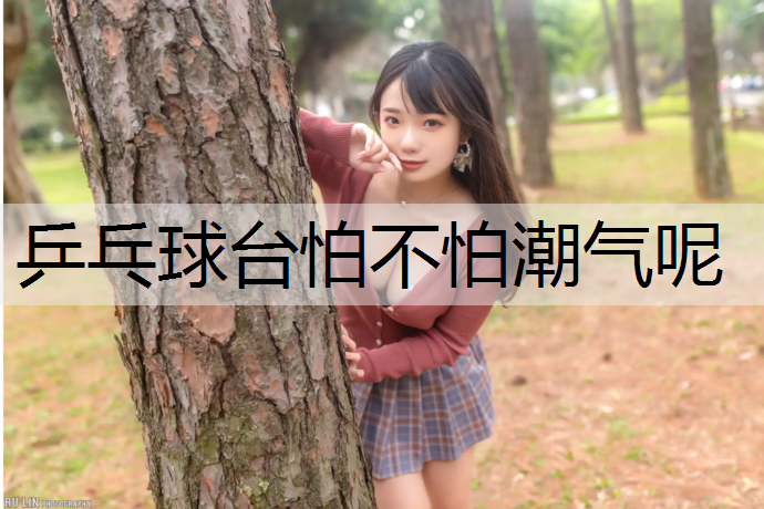 乒乓球台怕不怕潮气呢