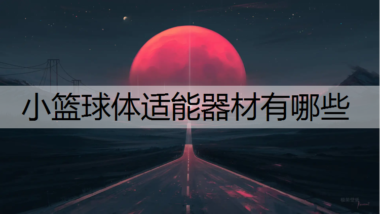 小篮球体适能器材有哪些