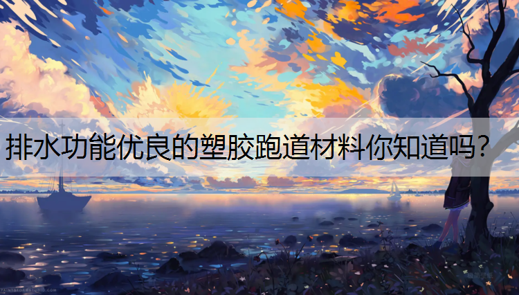 排水功能优良的塑胶跑道材料你知道吗？