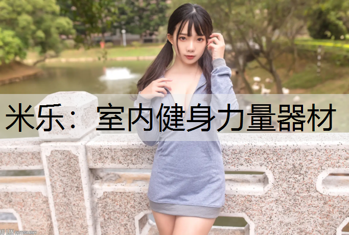 <strong>米乐：室内健身力量器材</strong>