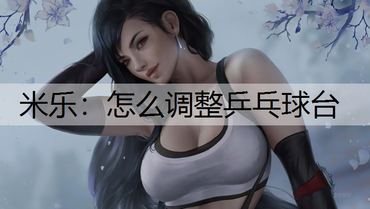 米乐：怎么调整乒乓球台