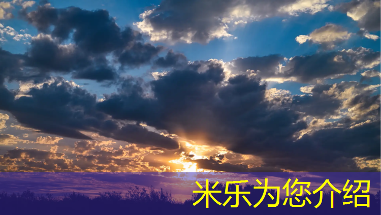 <strong>米乐m6官网登录入口：大新塑胶跑道翻新</strong>