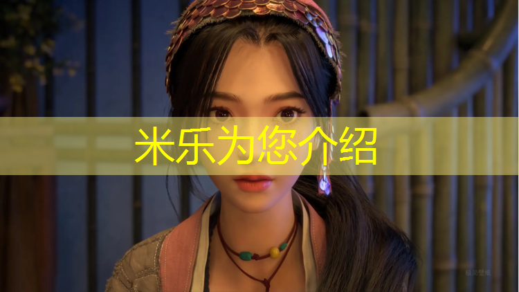 <strong>米乐为您介绍：南岸网球网价格</strong>