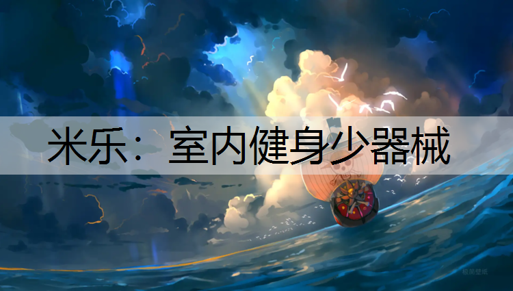 室内健身少器械