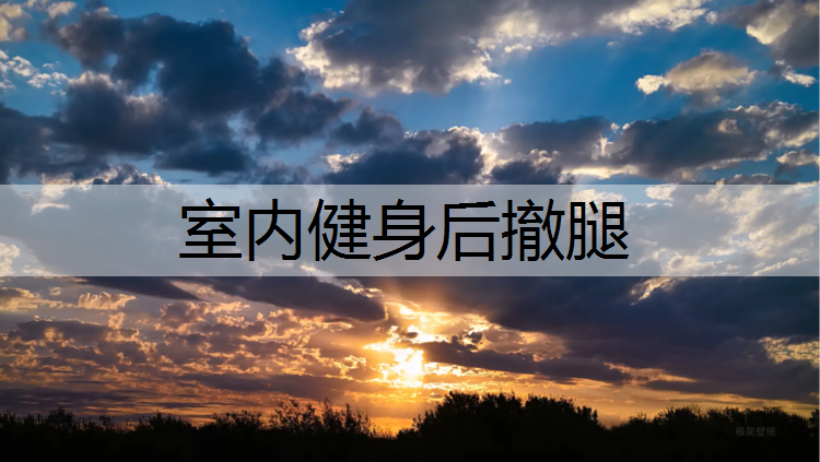室内健身后撤腿