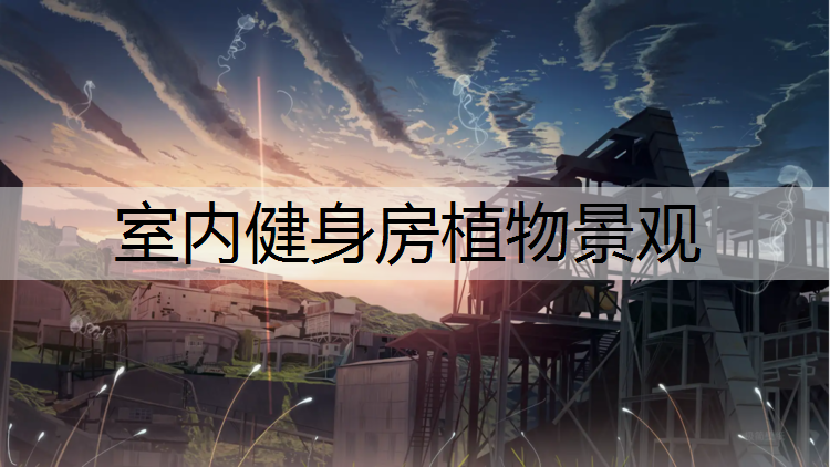 室内健身房植物景观