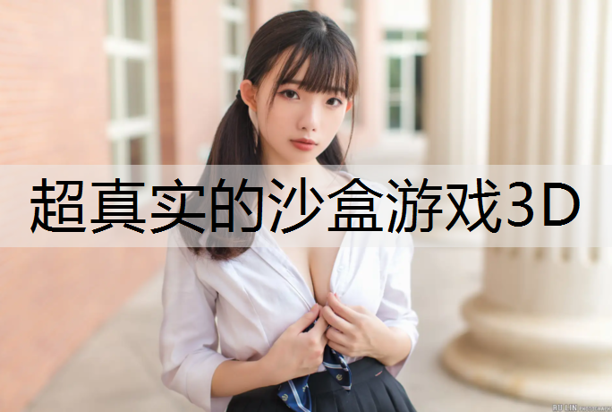 超真实的沙盒游戏3D