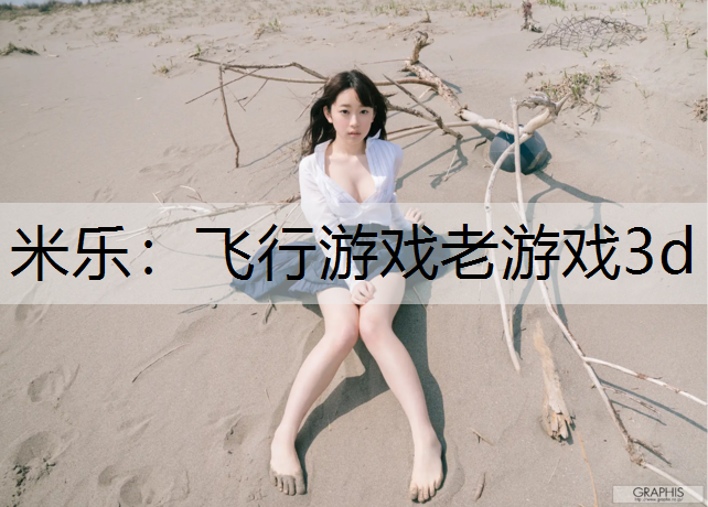 飞行游戏老游戏3d