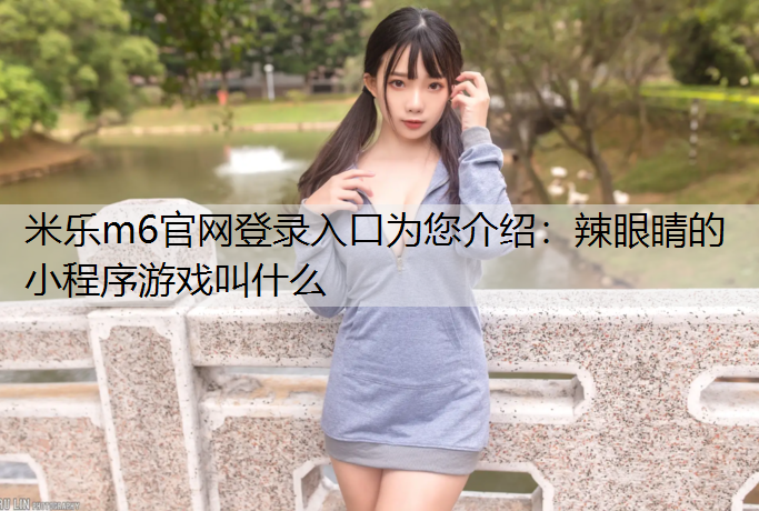 辣眼睛的小程序游戏叫什么