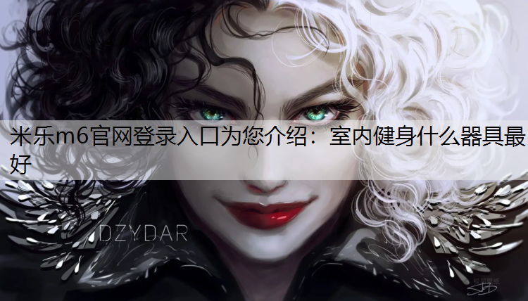 室内健身什么器具最好