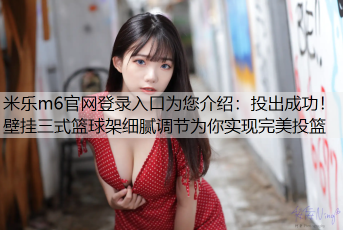 投出成功！壁挂三式篮球架细腻调节为你实现完美投篮