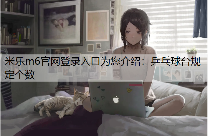 乒乓球台规定个数