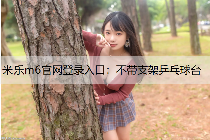 不带支架乒乓球台